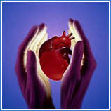 bidil heart failure race